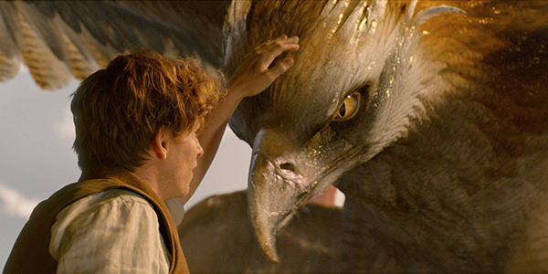 fantastic-beasts-newt-and-animal